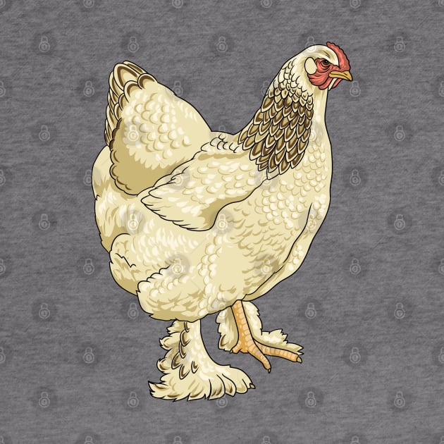 Brahma Chicken by Modern Medieval Design